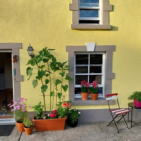 Felicity Cottage Kiltegan Esterno foto