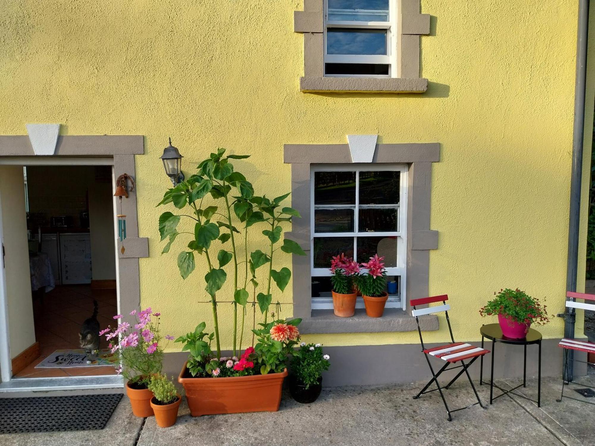 Felicity Cottage Kiltegan Esterno foto